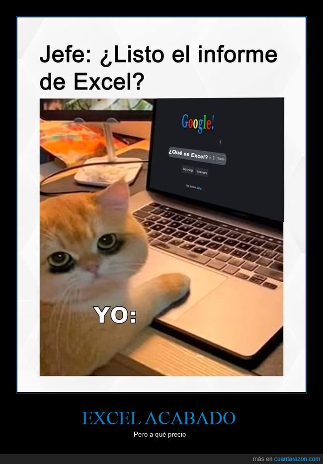 Excel,trabajo,procrastinación,oficina,gato